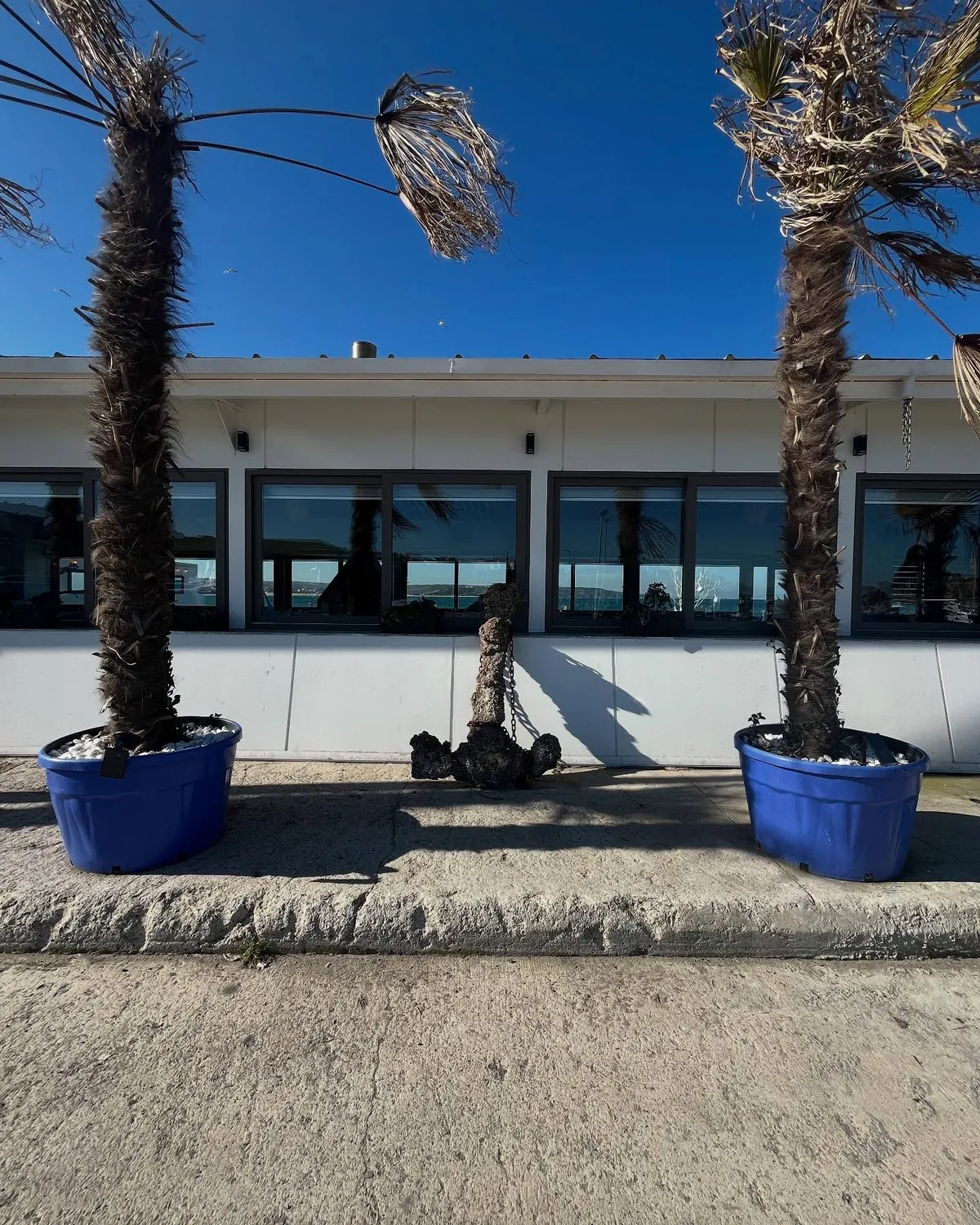 VIP Beach Restoran, Şile – yenilenen sahil cephesi (fotoğraf)